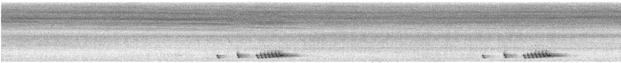 Синелицый бородастик - ML644871400