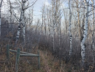 Vega SP, Mesa, Colorado, United States - eBird Hotspot