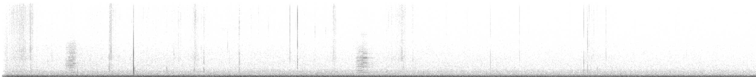 Koartza hauskara amerikarra - ML644872918