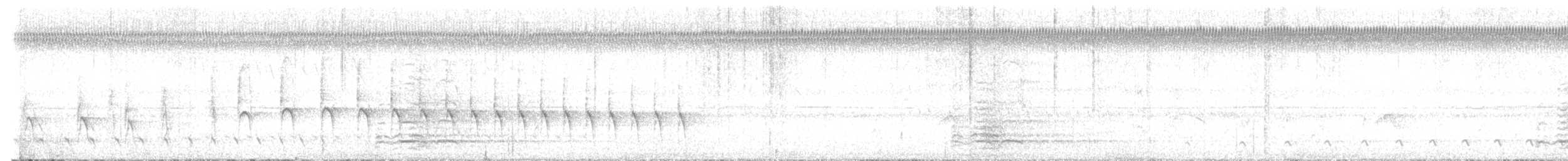 glattnebbani - ML644873447