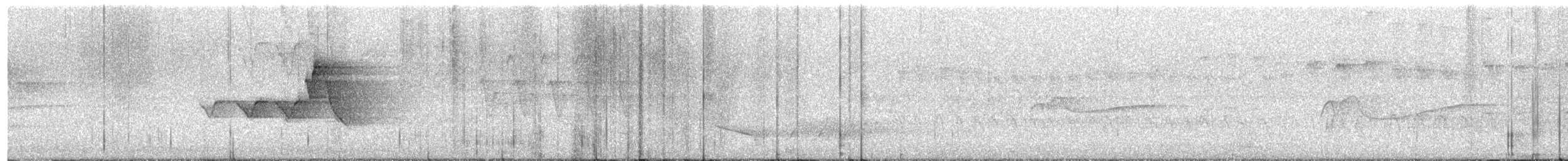סבכון חכלילי - ML644874106