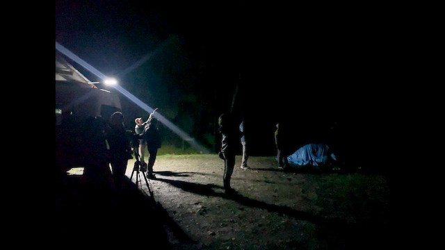 Stygian Owl - ML644874163