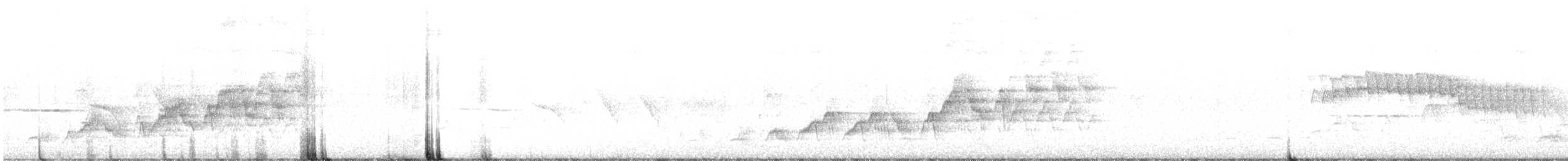 Swainson's Thrush - ML644874483