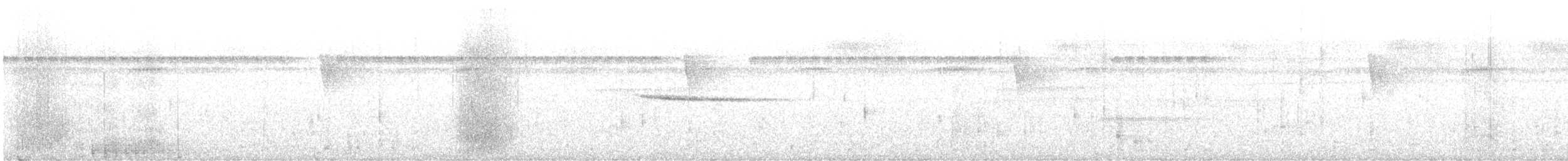 Picamaderos Barbinegro - ML644876776