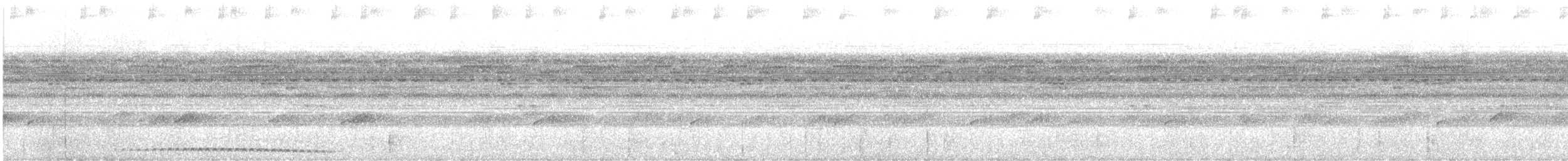 Choco Screech-Owl - ML644878831