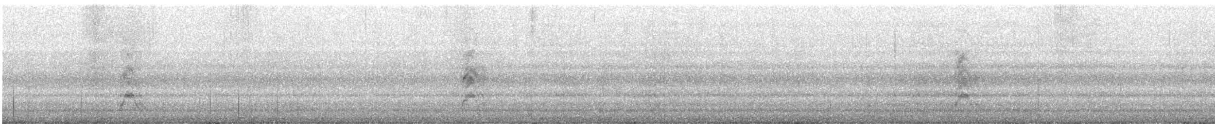 ベニハシガラス - ML644879888