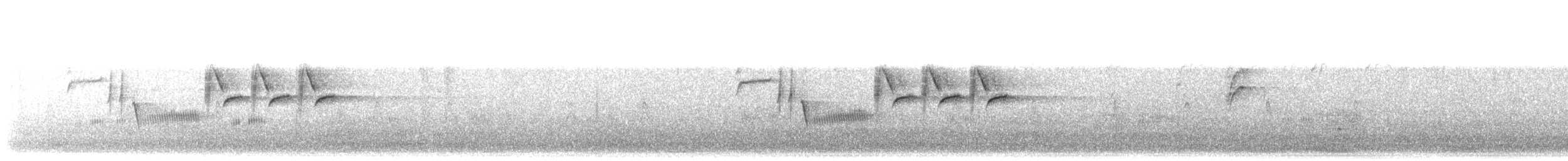 Troglodyte de Bewick - ML644880302