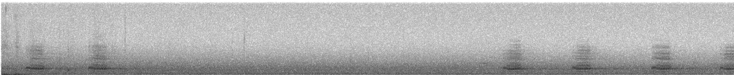 Corvo imperiale - ML644880766