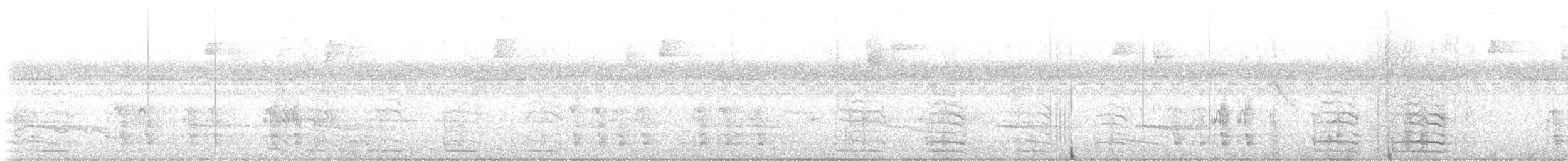 Amazona Harinosa - ML644880821