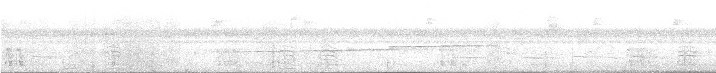 Amazona Harinosa - ML644880822