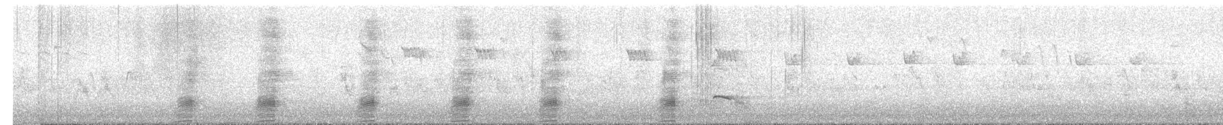 Ánade Azulón (variedad doméstica) - ML644881111