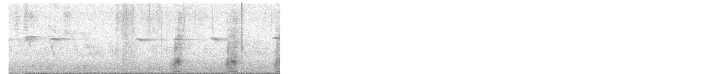 Ánade Azulón (variedad doméstica) - ML644881112