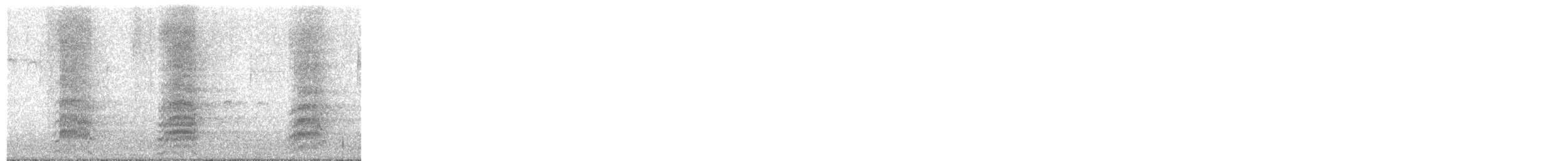 Gaviota Reidora - ML644881142