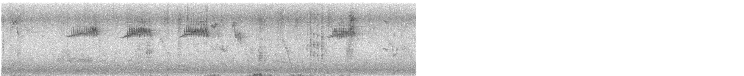 Estornino Pinto - ML644881186