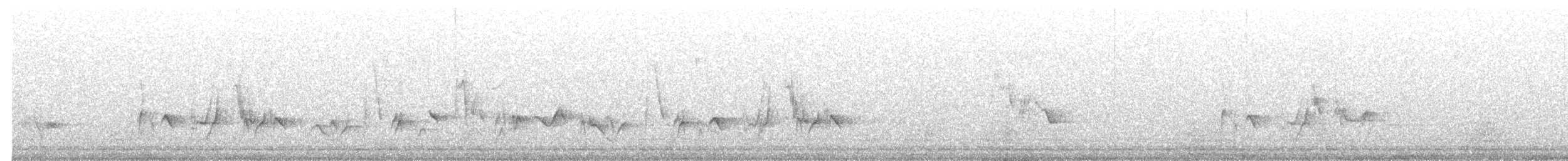 Solitario Norteño - ML644881268