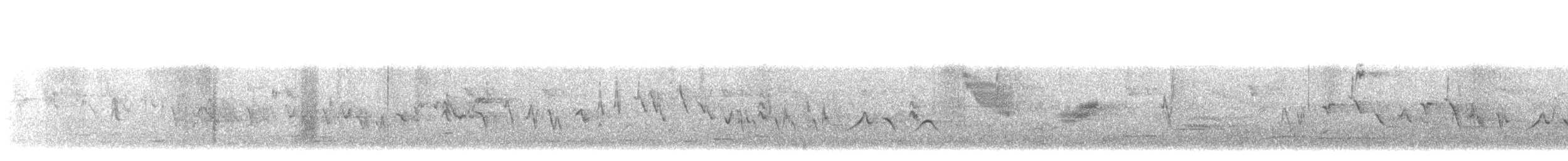 Camachuelo Mexicano - ML644881288