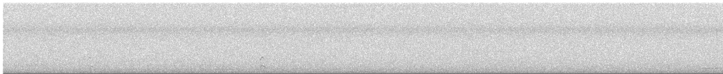 Cárabo Común - ML644881407