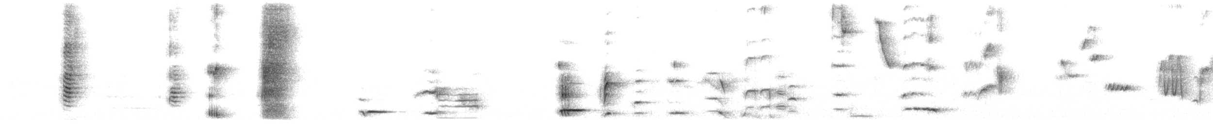 Mielero Tui - ML644881462