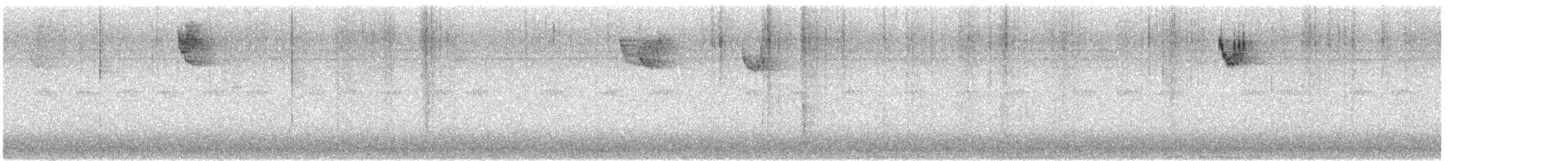 Chingolo Gorjiblanco - ML644881467