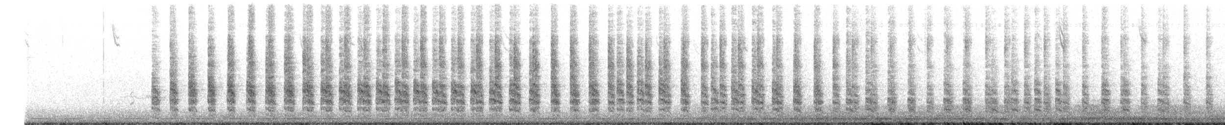 spartinarikse (obsoletus) - ML644881622