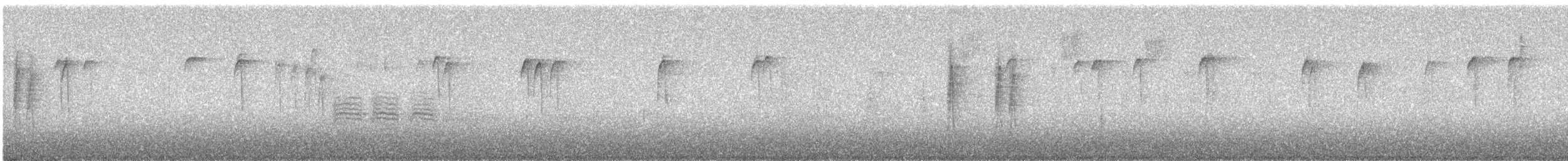 amerikameis - ML644881766