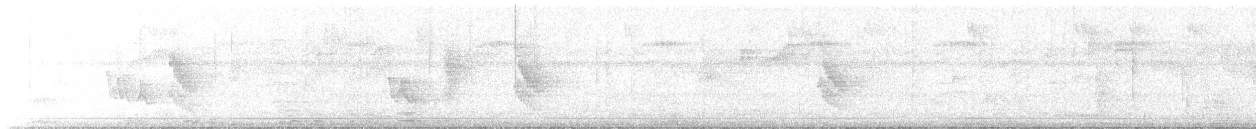 hvitskjeggmanakin - ML644881872