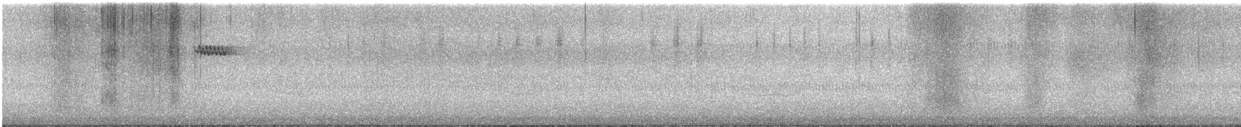 amerikatrekryper - ML644881993