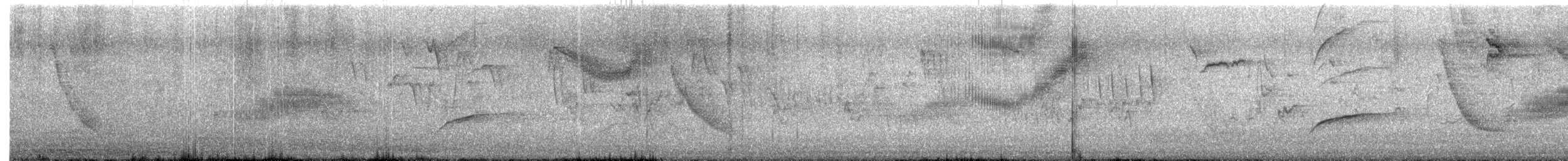 Шпак піренейський - ML644883036