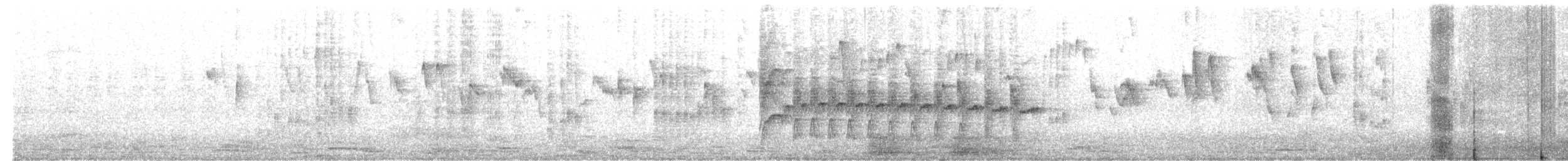 Тиранчик-тонкодзьоб південний - ML644883118