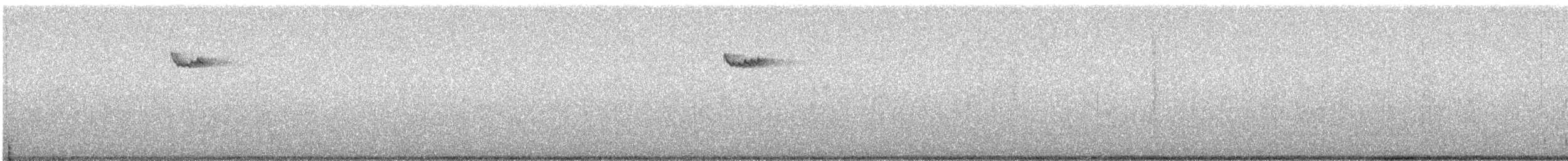 Підкоришник американський - ML644883227