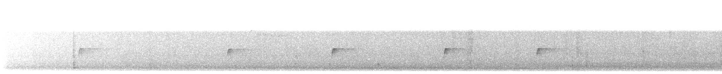 Піві-малюк ялиновий - ML644883458