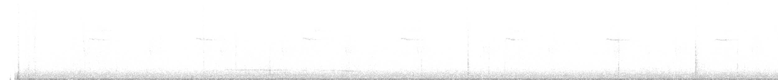 White-bellied Antpitta - ML644883637