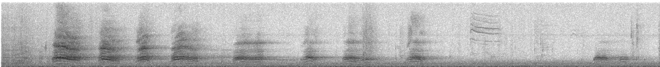 Little Blue Heron - ML644883687