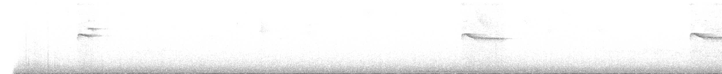 Bronze-olive Pygmy-Tyrant - ML644883983