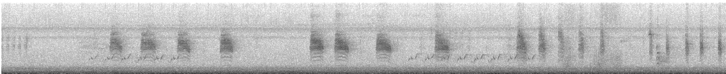 Carolina Wren - ML644884488