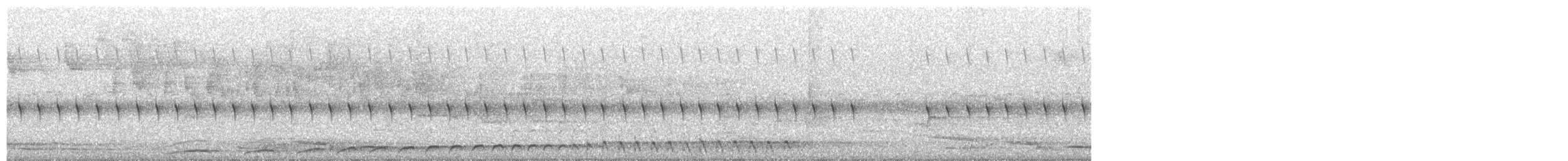 White-throated Nightjar - ML644884511