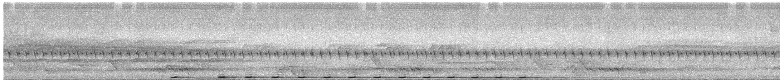 Pheasant Coucal - ML644884515