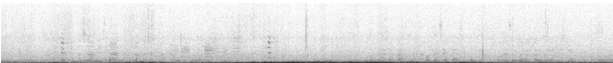 סופית אמריקנית - ML644886424