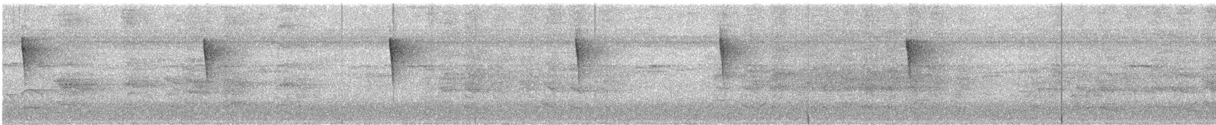 סבכון חכלילי - ML644886704