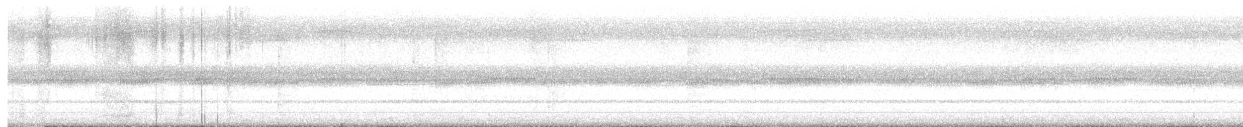 Barred Owl - ML644886895