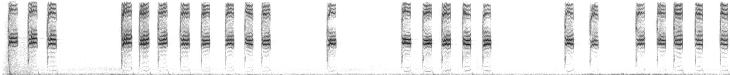 גיבתונית לבנת-גרון - ML644887095