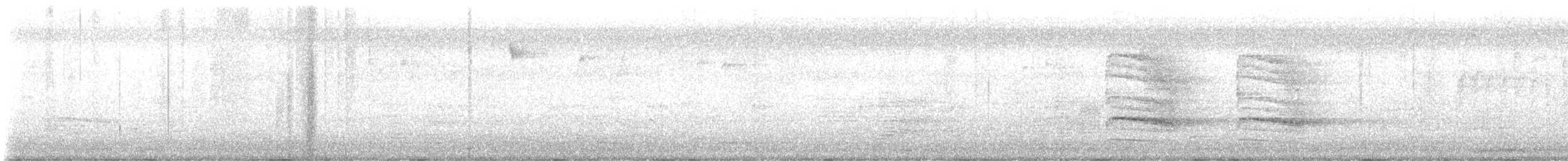 מלכילון אמריקני - ML644887098