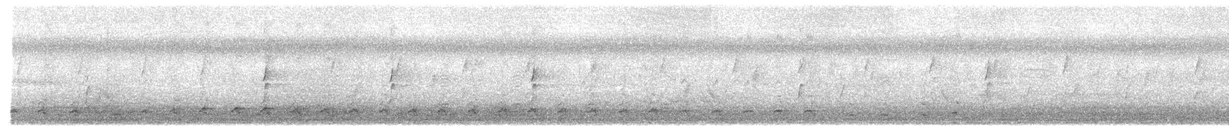 Pale-vented Bush-hen - ML644887204