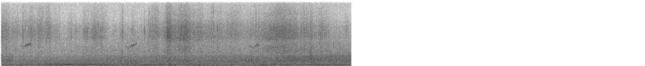 חופית זעירה - ML644887232