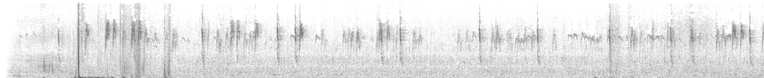 Pacific Wren - ML644887416