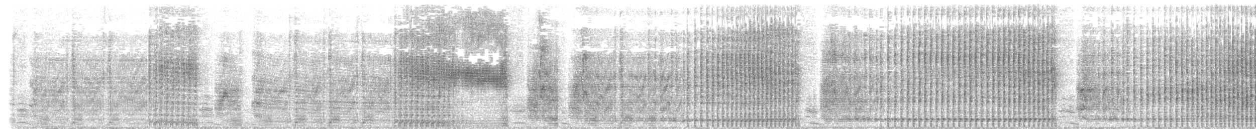 Satin Bowerbird - ML644887468