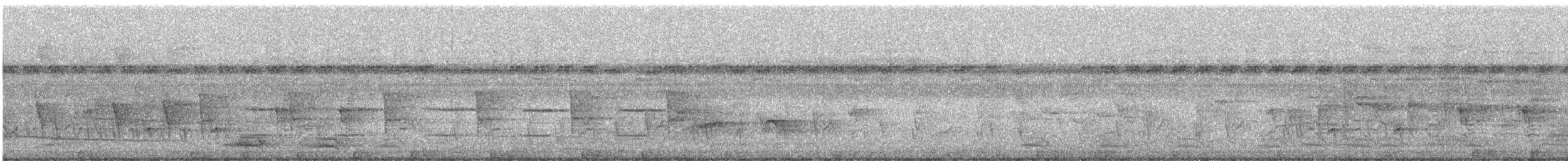 Hair-crested Drongo - ML644887471