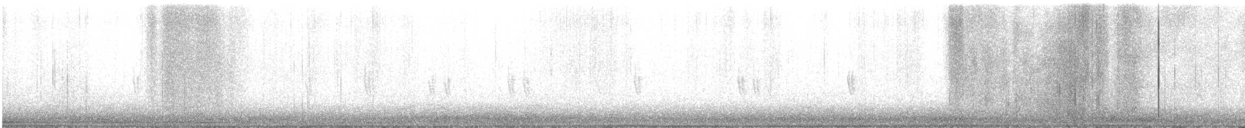 תפוחית שחורת-סנטר - ML644887551