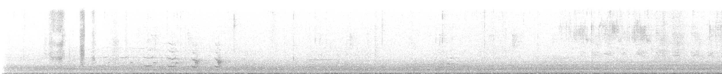 Guajolote Gallipavo - ML644888065