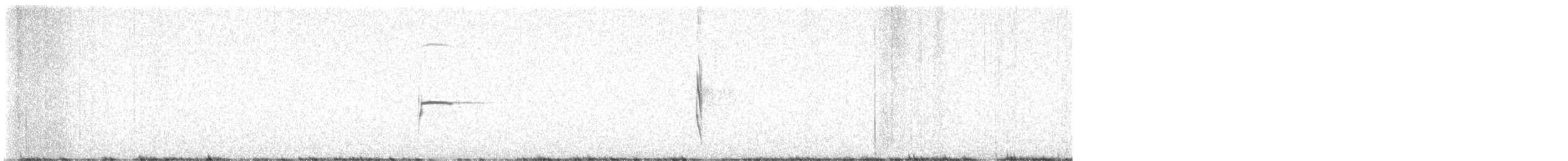 Sandy Gallito - ML644888724